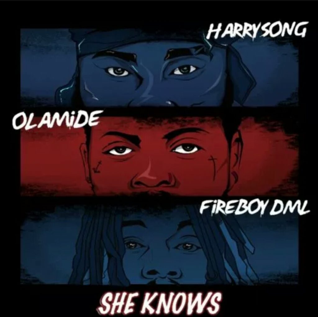 Harrysong – She Knows ft. Fireboy DML & Olamide Download mp3 Audio music song img
